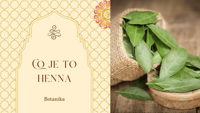 co je to henna